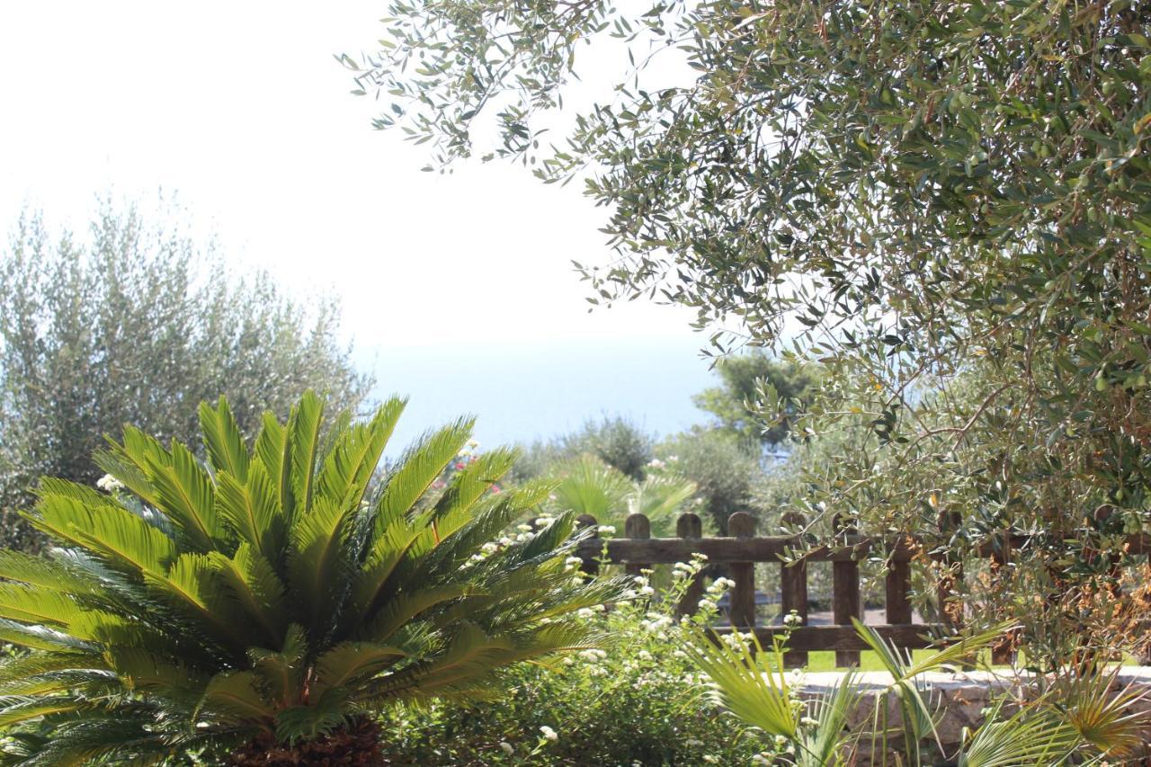 Amoru Bed & Breakfast Castro  Εξωτερικό φωτογραφία